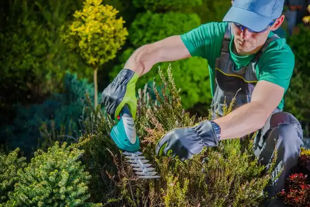 landscaping services New Rochelle